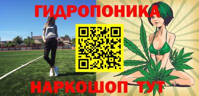 ешки Будённовск