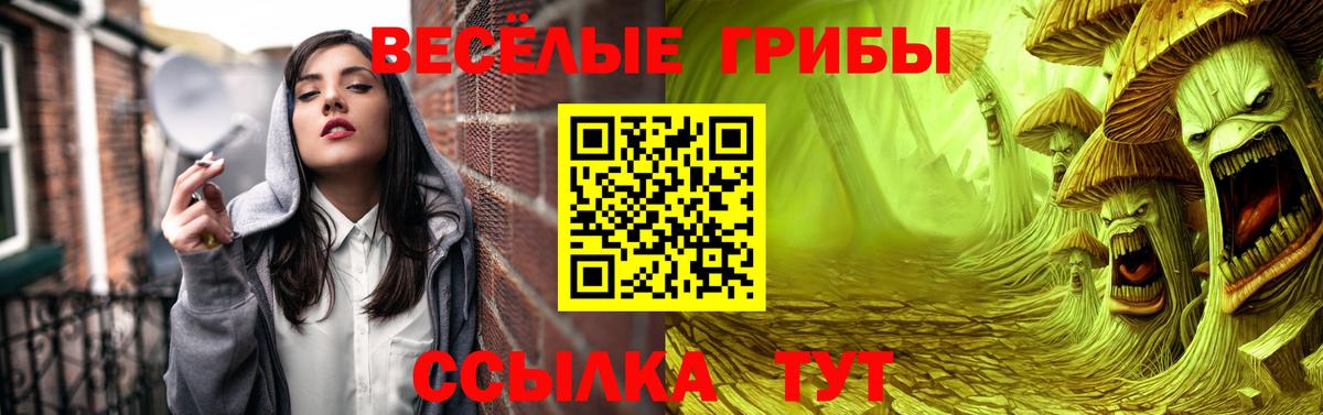 Галлюциногенные грибы прущие грибы  Галлюциногенные грибы прущие грибы  Якутск  Вход с VPN 